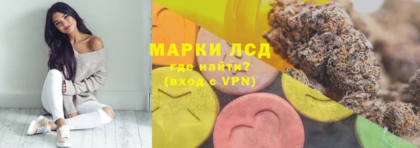 стафф Надым