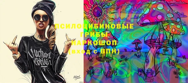 стафф Надым