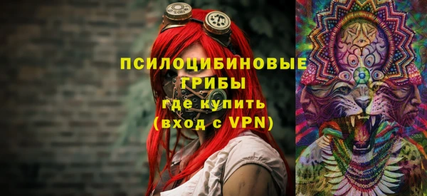 тгк Михайловск