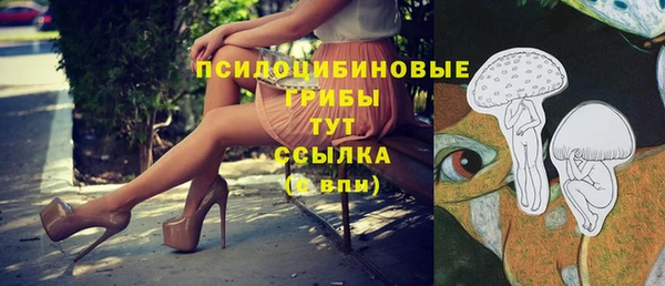 ГАЛЛЮЦИНОГЕННЫЕ ГРИБЫ Наволоки