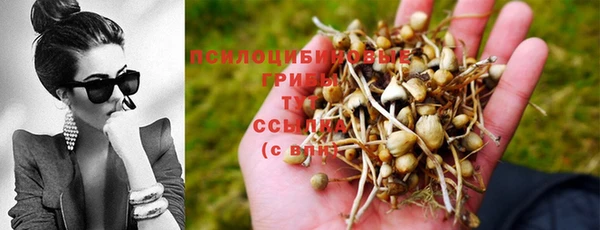 тгк Михайловск