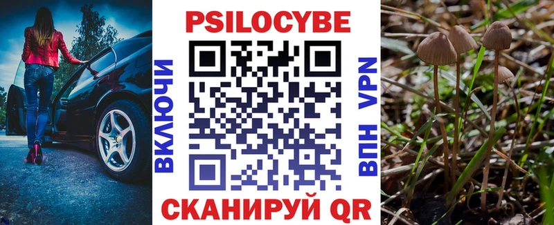Галлюциногенные грибы GOLDEN TEACHER Павловский Посад