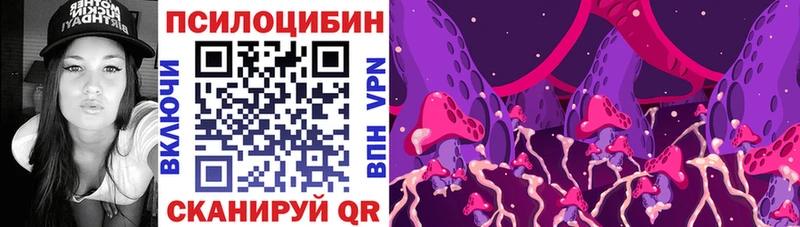 купить   Павловский Посад  Псилоцибиновые грибы Psilocybine cubensis 