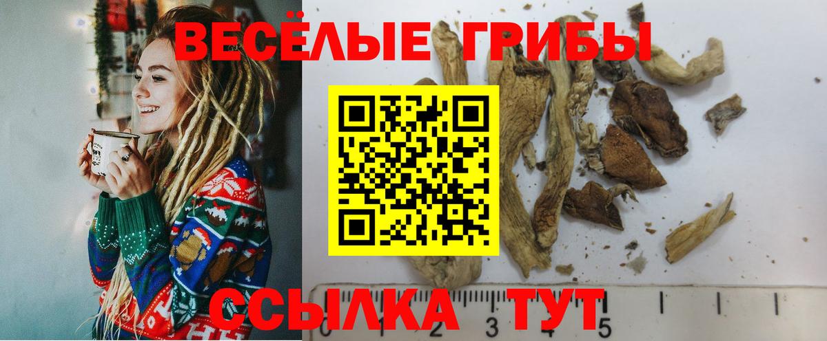 Галлюциногенные грибы Psilocybine cubensis  Вход с VPN  Павловский Посад  где продают наркотики  Псилоцибиновые грибы MAGIC MUSHROOMS 